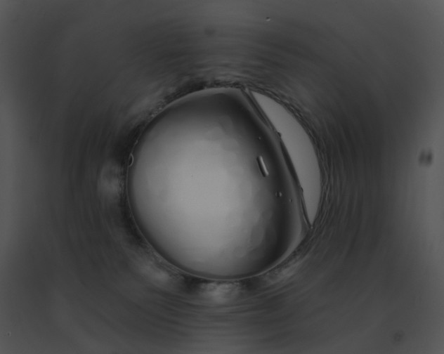 X0000091530135200708311319
