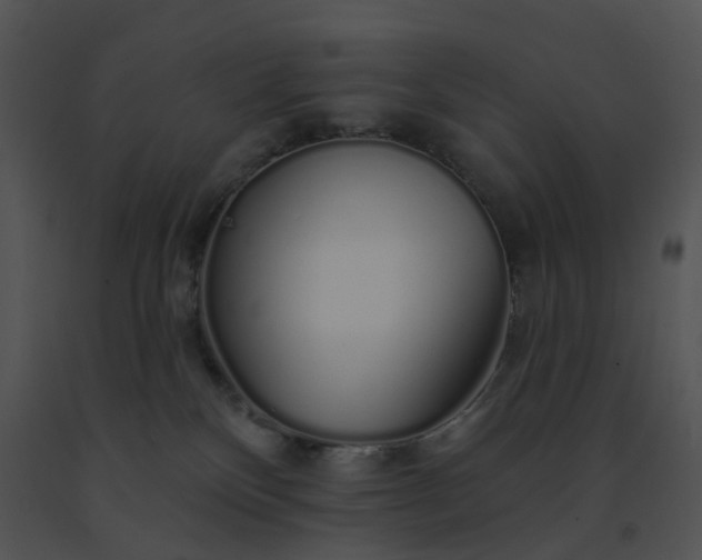 X0000091530136200708311319