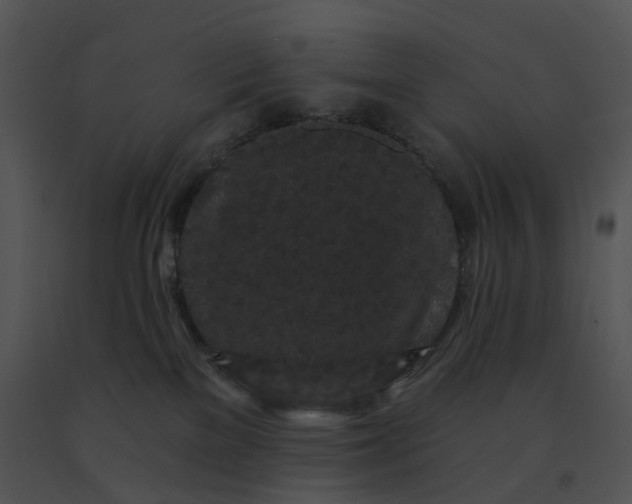 X0000091530137200708311318