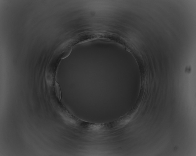 X0000091530139200708311318