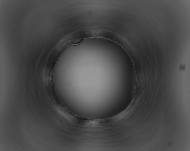 X0000091530140200708311318