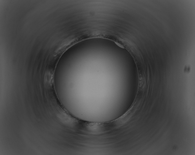 X0000091530142200708311318