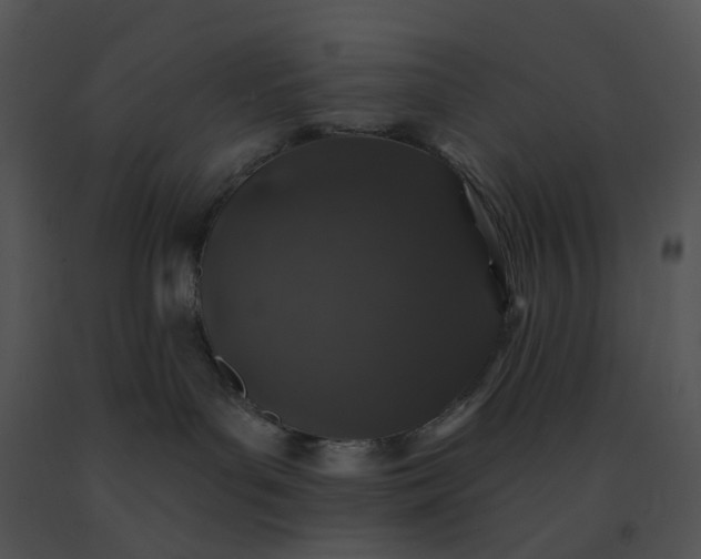 X0000091530143200708311318