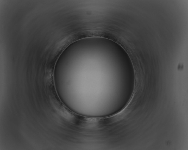 X0000091530144200708311318