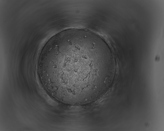 X0000091530145200708311318