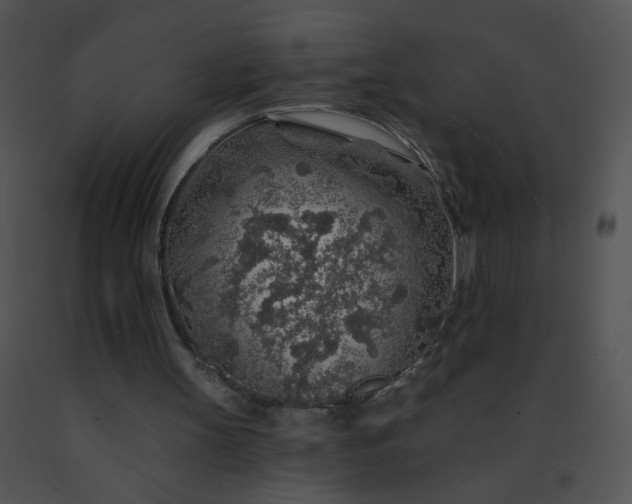 X0000091530147200708311318