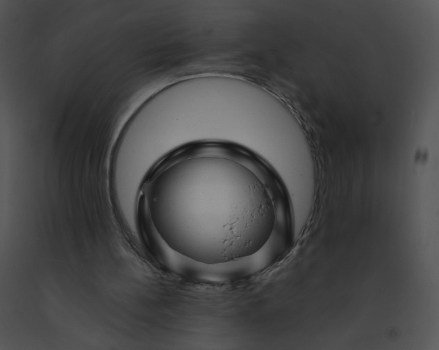 X0000091530148200708311318