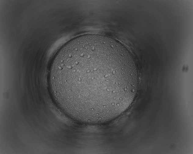 X0000091530149200708311318