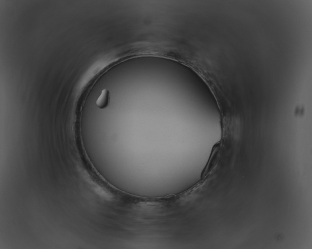 X0000091530150200708311318