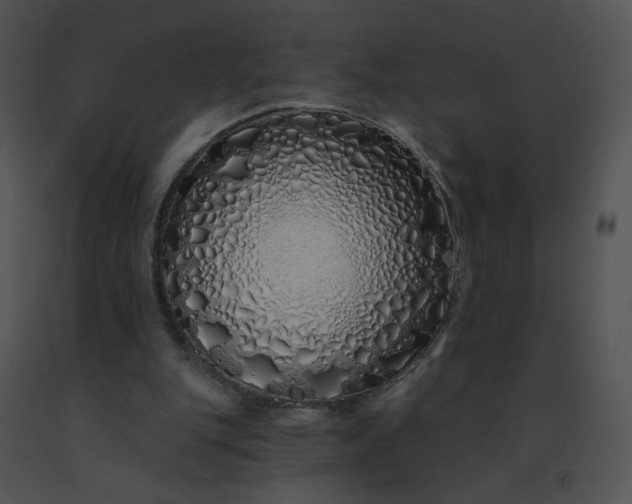 X0000091530151200708311318