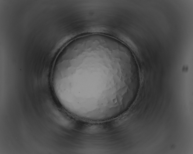 X0000091530155200708311318