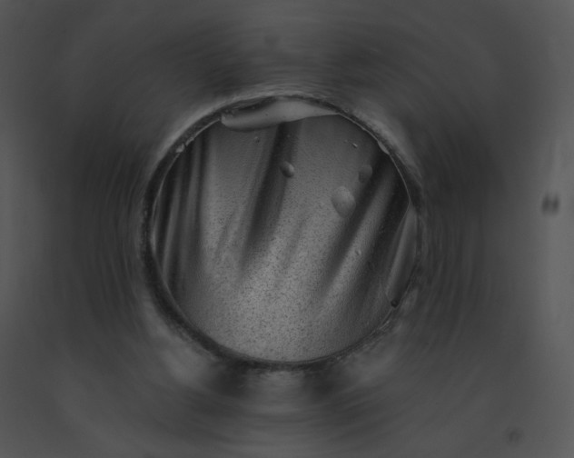 X0000091530156200708311318