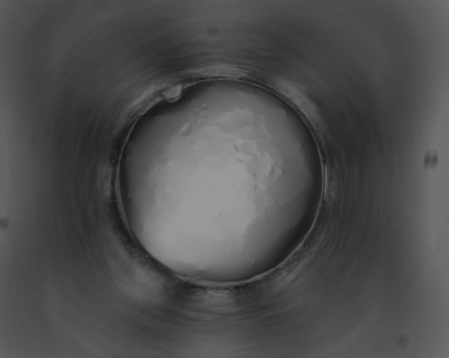 X0000091530157200708311318