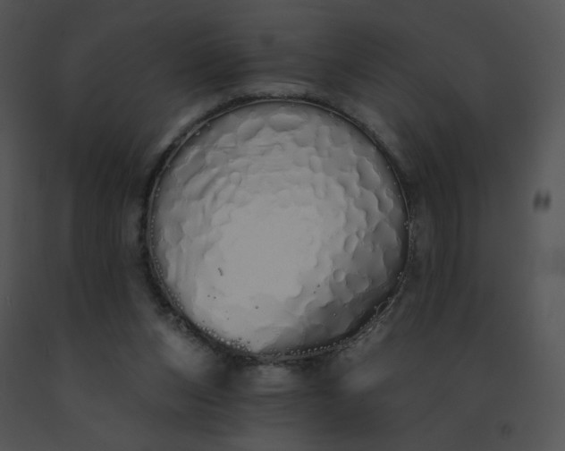 X0000091530159200708311318