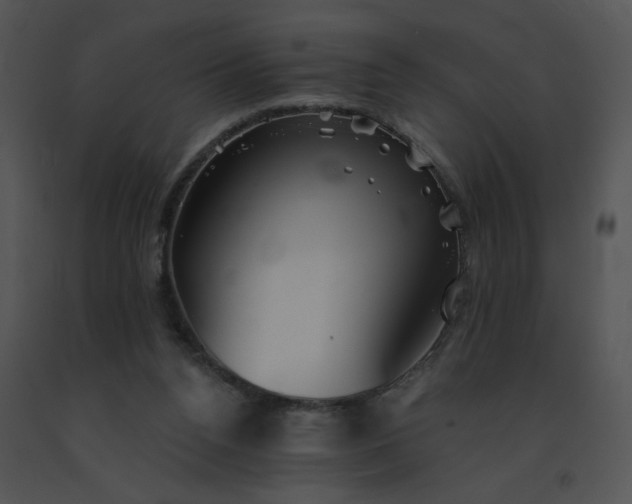 X0000091530160200708311318