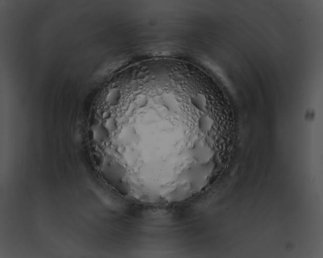 X0000091530161200708311318