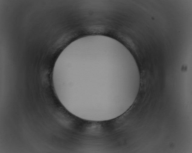 X0000091530162200708311318