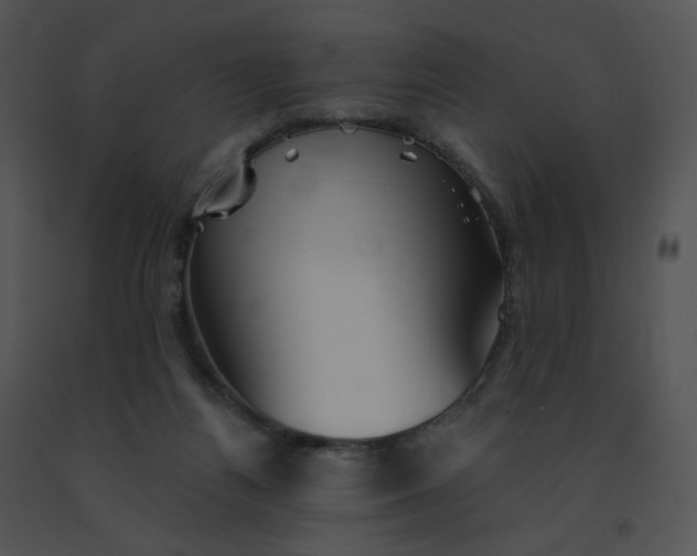 X0000091530164200708311318