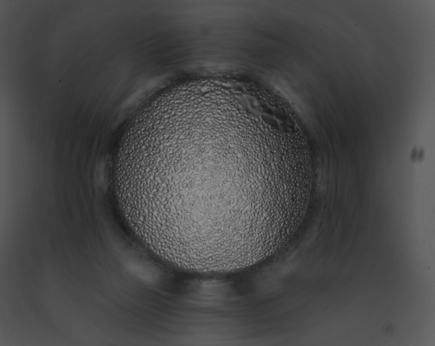 X0000091530165200708311318