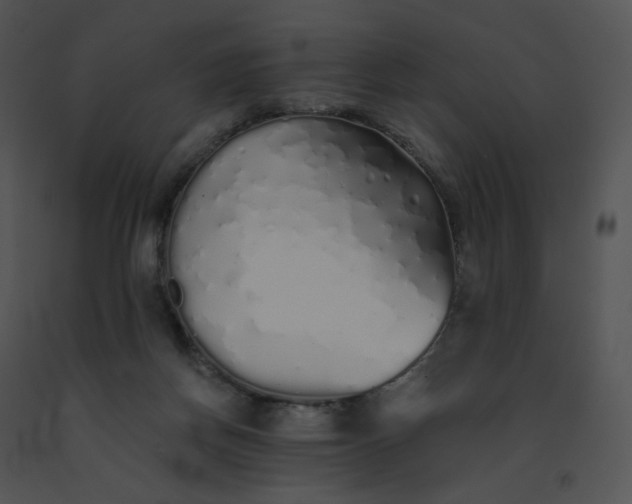 X0000091530166200708311318