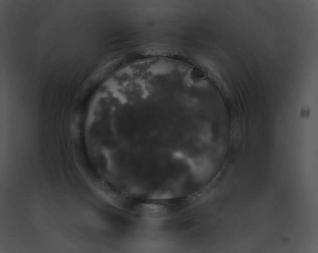 X0000091530167200708311318