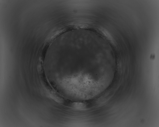 X0000091530169200708311318