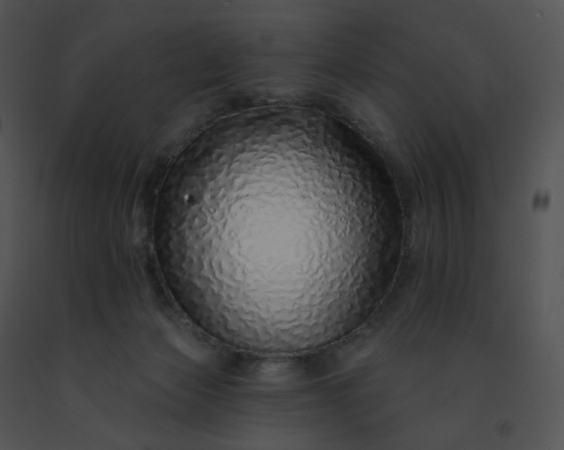 X0000091530173200708311318
