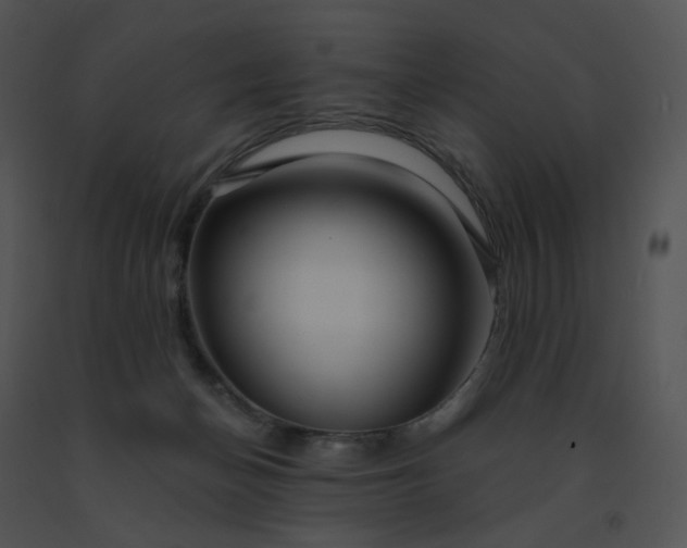 X0000091530174200708311318