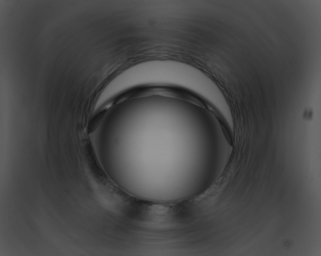 X0000091530176200708311318