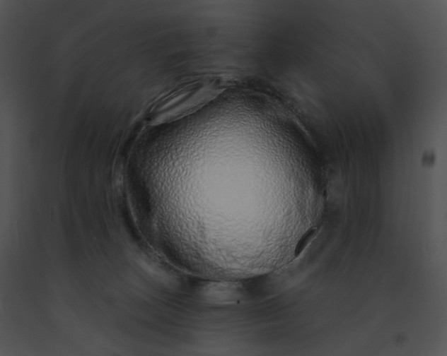 X0000091530179200708311318