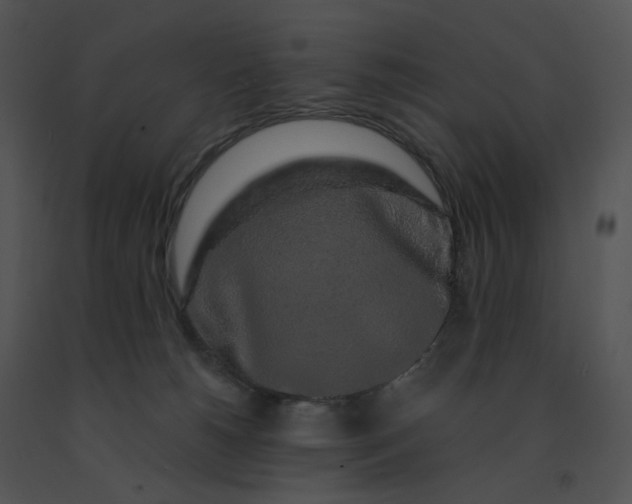 X0000091530180200708311318