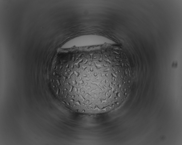 X0000091530182200708311318