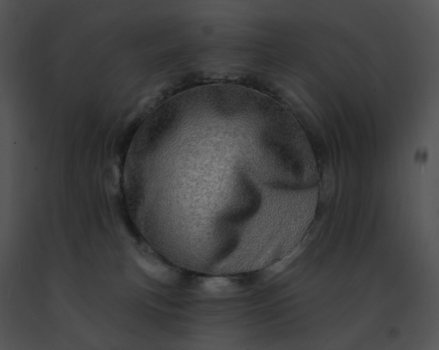 X0000091530183200708311318