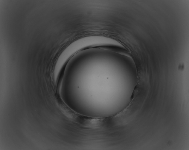 X0000091530184200708311318