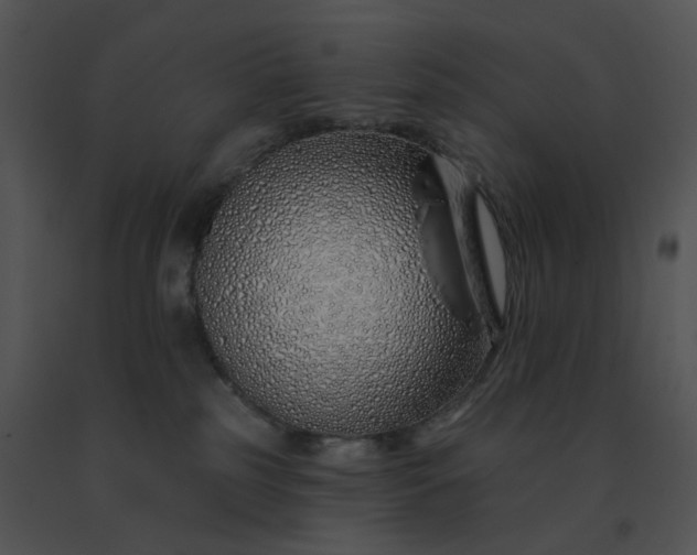 X0000091530185200708311318