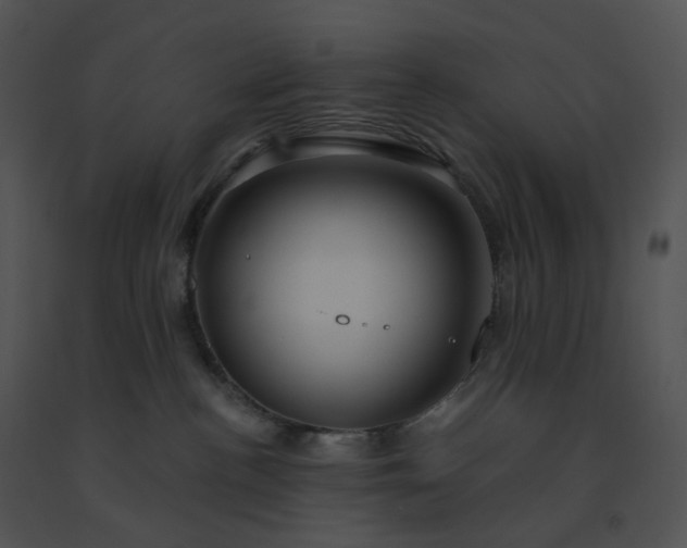 X0000091530188200708311318