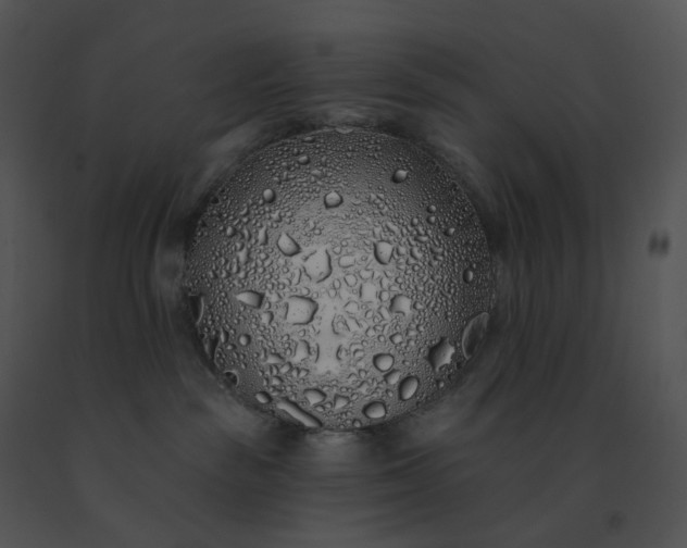 X0000091530189200708311318