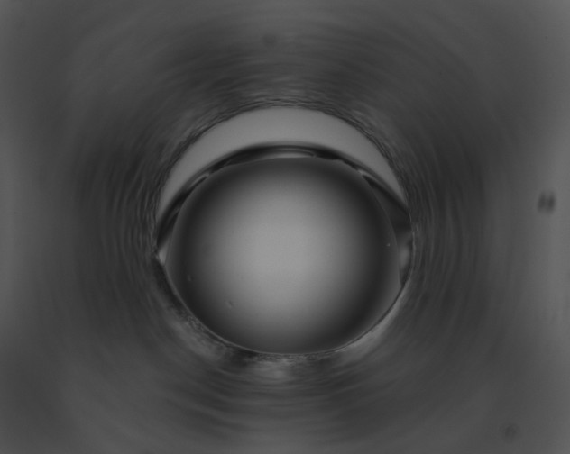 X0000091530190200708311318