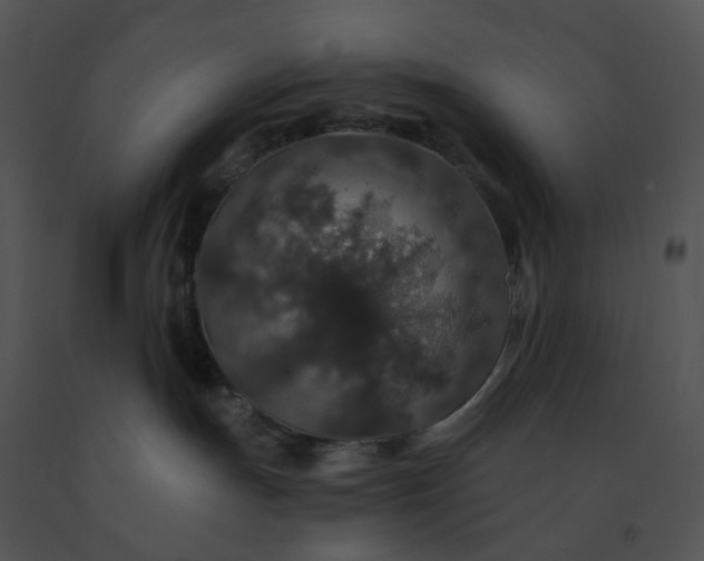 X0000091530191200708311318