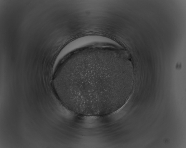 X0000091530192200708311318