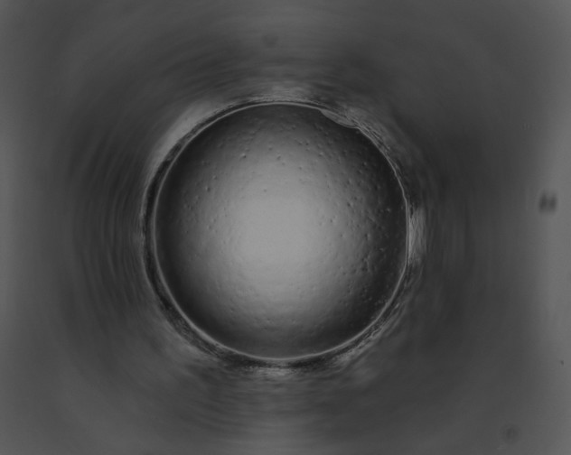 X0000091530195200708311318