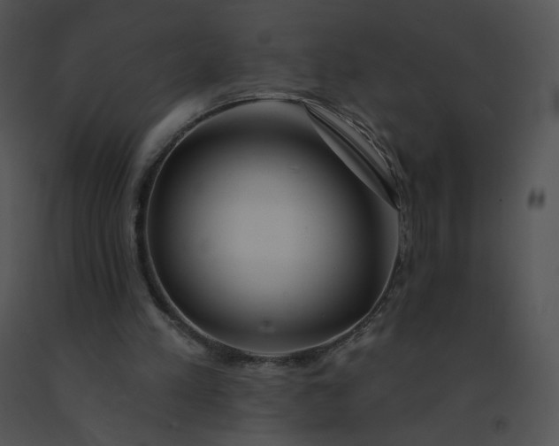 X0000091530197200708311318