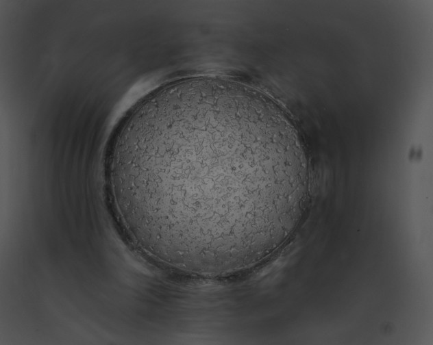 X0000091530198200708311318