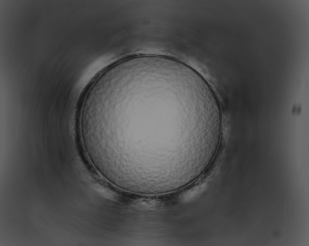 X0000091530199200708311318