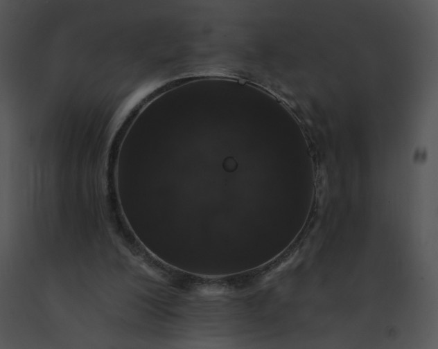 X0000091530200200708311318