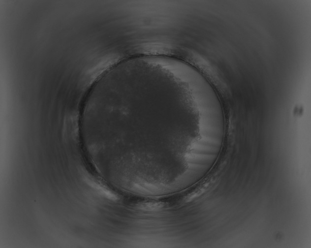 X0000091530202200708311318
