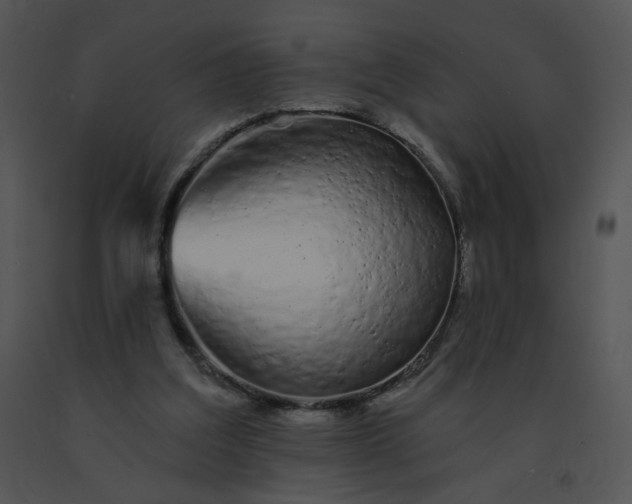 X0000091530203200708311318