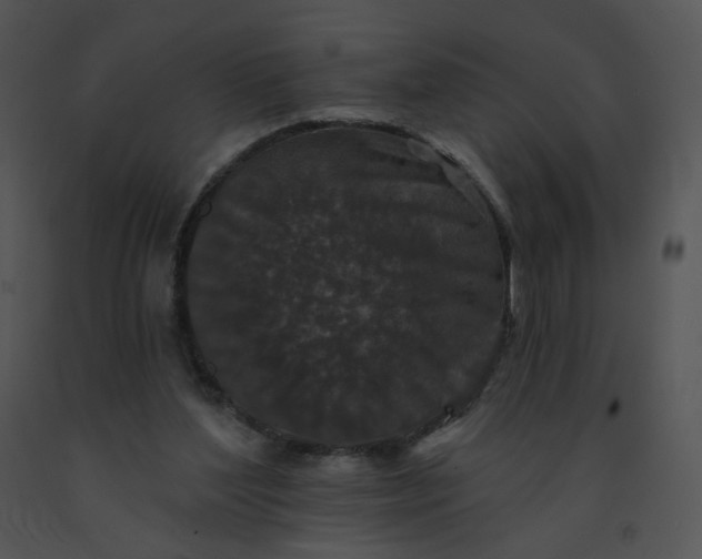 X0000091530204200708311318