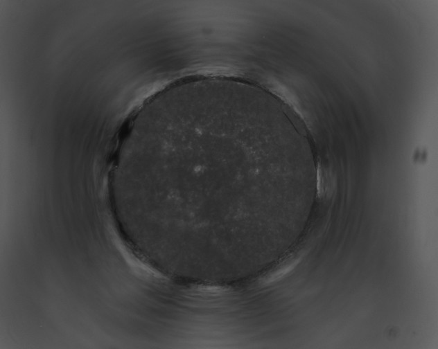 X0000091530205200708311318