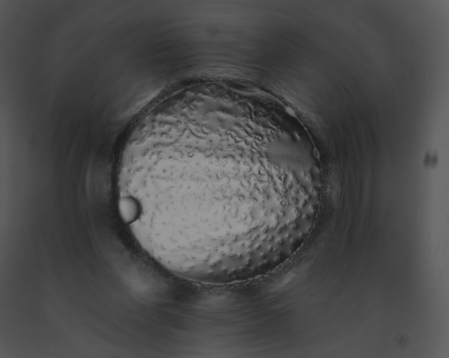X0000091530206200708311318